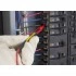 Измерительные провода FLUKE TL175 Измерительные провода FLUKE TL175